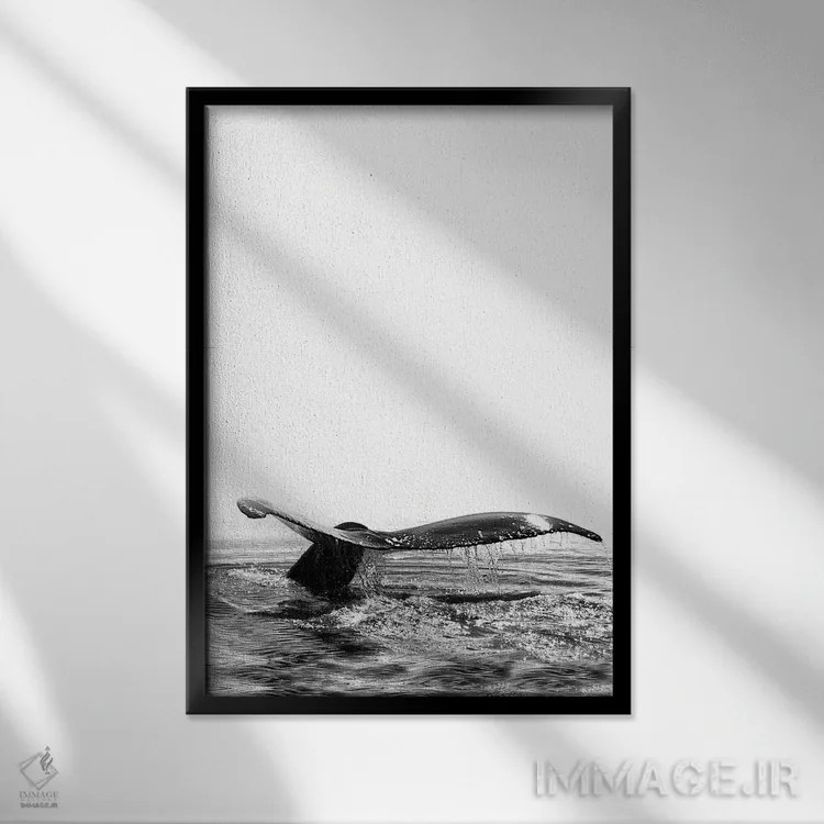 تابلو دکوراتیو آواز نهنگ I ایسلند سیاه و سفید اثر مونیکا استریگل - نمای قابدار مشکی