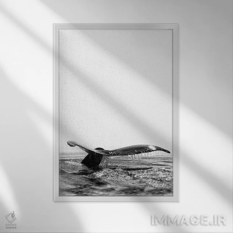 تابلو دکوراتیو آواز نهنگ I ایسلند سیاه و سفید اثر مونیکا استریگل - نمای قابدار سفید