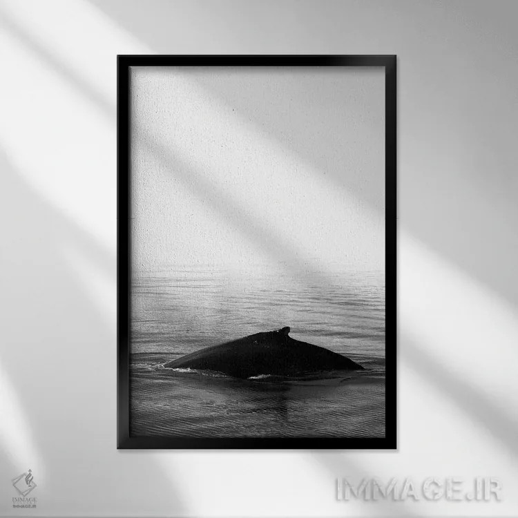 تابلو دکوراتیو آواز نهنگ III سیاه ایسلند اثر مونیکا استریگل - نمای قابدار مشکی