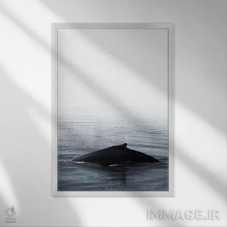 تابلو دکوراتیو آواز نهنگ III آبی ایسلند اثر مونیکا استریگل - نمای قابدار سفید