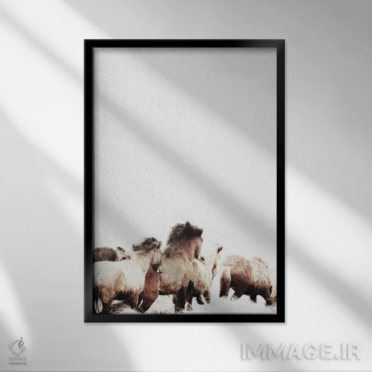 تابلو دکوراتیو اسب های وحشی و آزاد ایسلند II اثر مونیکا استریگل - نمای قابدار مشکی