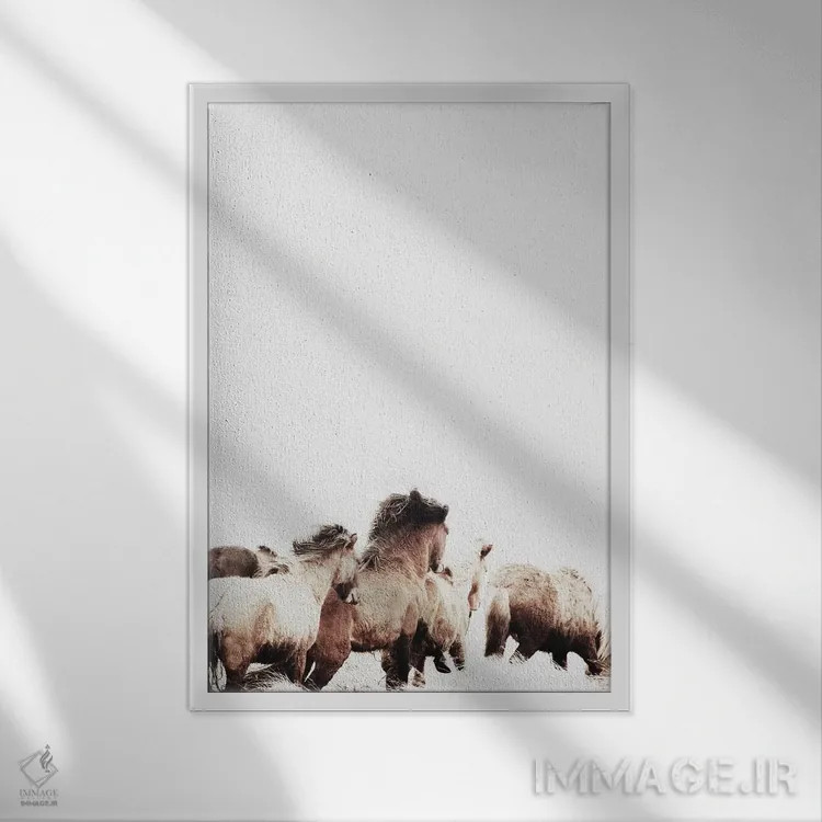 تابلو دکوراتیو اسب های وحشی و آزاد ایسلند II اثر مونیکا استریگل - نمای قابدار سفید