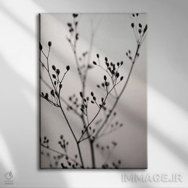 تابلو مینیمال گل وحشی مخملی تیره I اثر مونیکا استریگل - نمای روبهرو روی دیوار