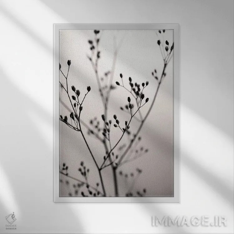تابلو مینیمال گل وحشی مخملی تیره I اثر مونیکا استریگل - نمای قابدار سفید