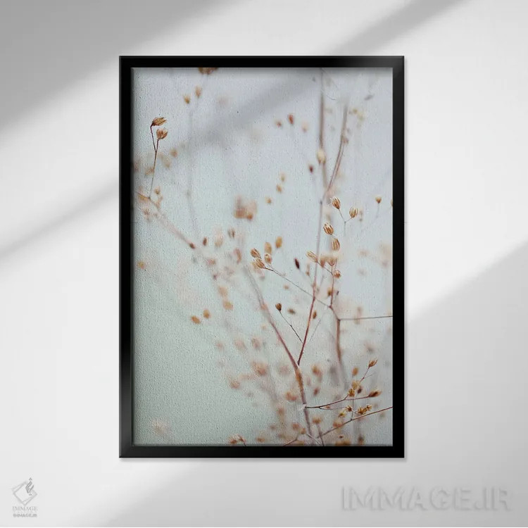 تابلو مینیمال گل های وحشی اثر مونیکا استریگل - نمای قابدار مشکی