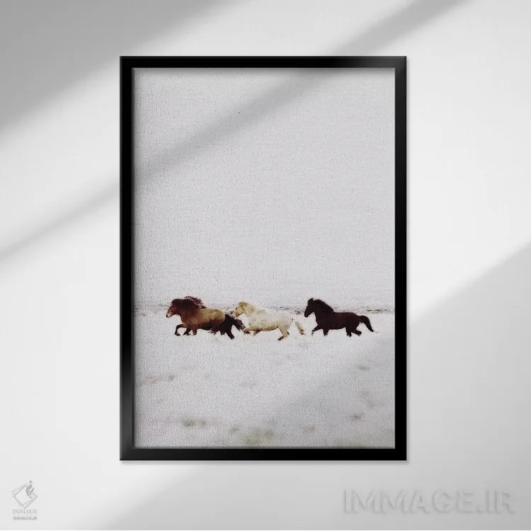 تابلو دکوراتیو اسب های وحشی ایسلند VIII اثر مونیکا استریگل - نمای قابدار مشکی