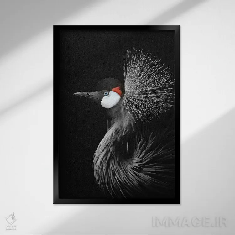 تابلو دکوراتیو درنای تاج دار اثر مونیکا استریگل - نمای قابدار مشکی