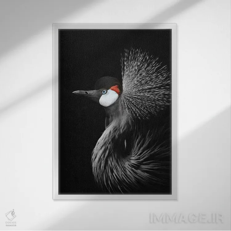 تابلو دکوراتیو درنای تاج دار اثر مونیکا استریگل - نمای قابدار سفید