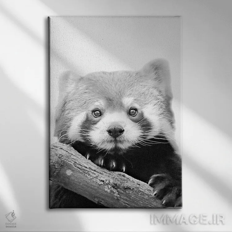 تابلو دکوراتیو پاندای قرمز کوچک اثر مونیکا استریگل - نمای روبهرو روی دیوار