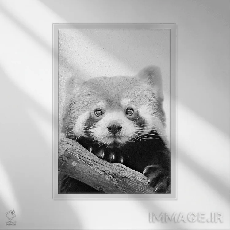 تابلو دکوراتیو پاندای قرمز کوچک اثر مونیکا استریگل - نمای قابدار سفید