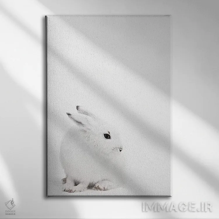 تابلو دکوراتیو خرگوش قطبی I اثر مونیکا استریگل - نمای روبهرو روی دیوار