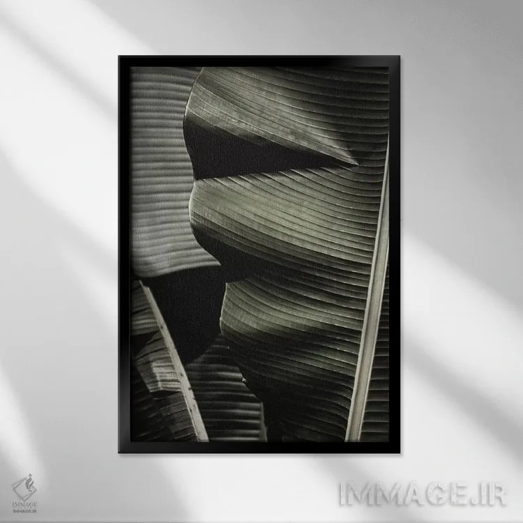 تابلو دکوراتیو برگ موز سبز اثر مونیکا استریگل - نمای قابدار مشکی