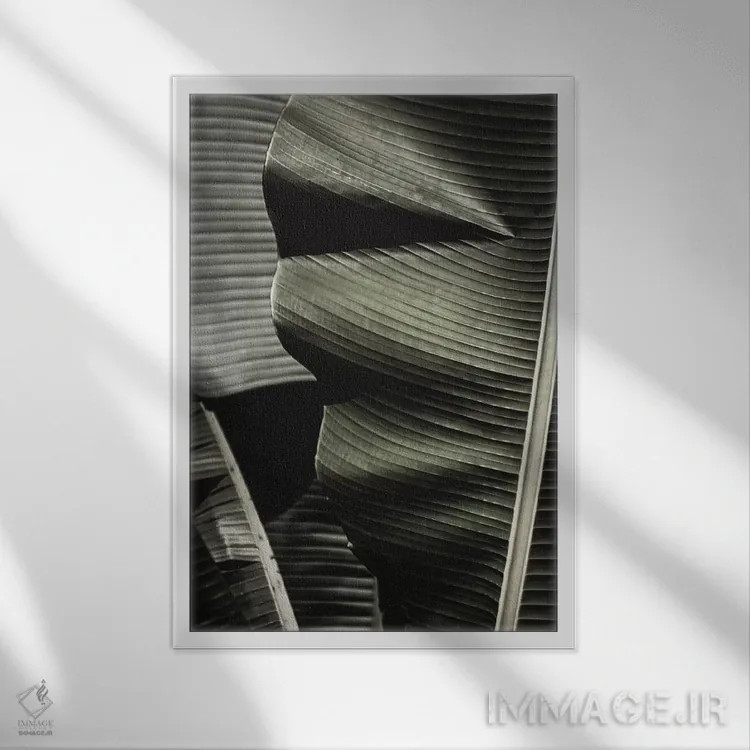تابلو دکوراتیو برگ موز سبز اثر مونیکا استریگل - نمای قابدار سفید