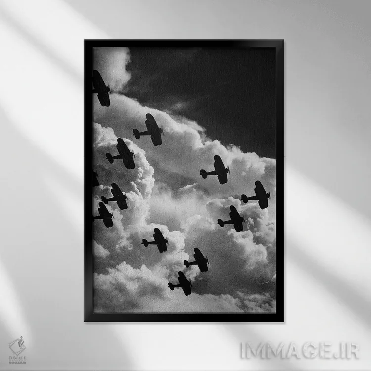 تابلو دکوراتیو هواپیمای دوباله، حدود ۱۹۱۷ - نمای قابدار مشکی