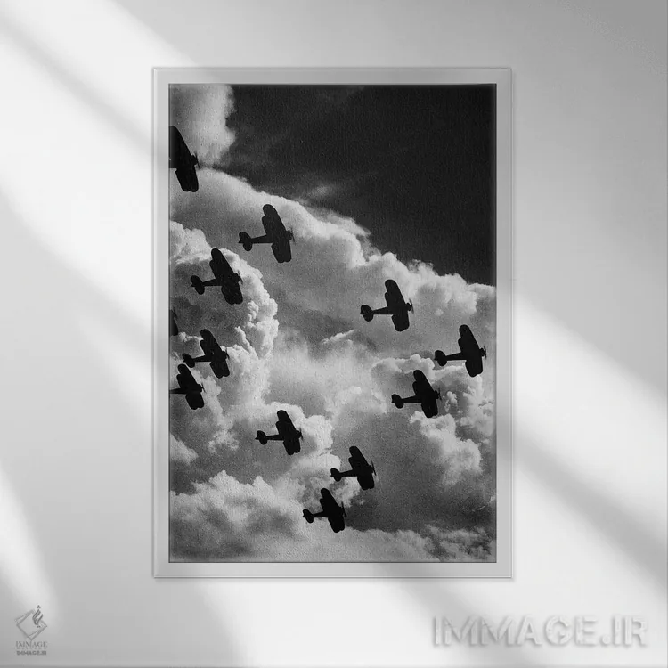 تابلو دکوراتیو هواپیمای دوباله، حدود ۱۹۱۷ - نمای قابدار سفید