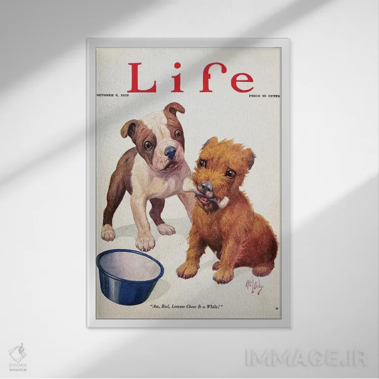 تابلو دکوراتیو 1925,مجله لایف، ۱۹۲۵ - نمای قابدار سفید