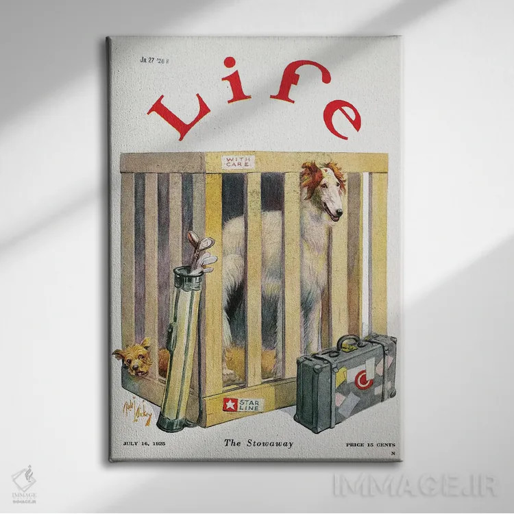 تابلو دکوراتیو 1925,مجله لایف، ۱۹۲۵ - نمای روبهرو روی دیوار