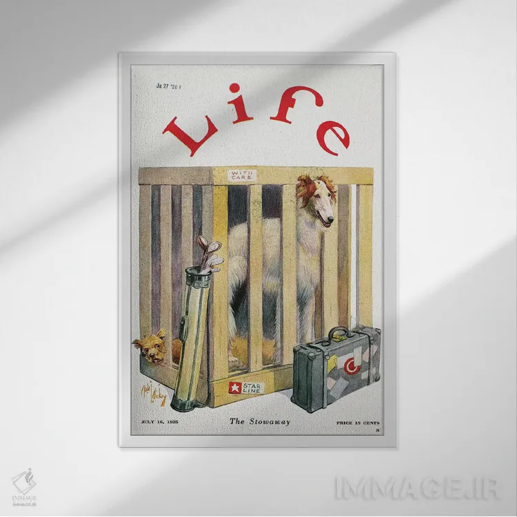 تابلو دکوراتیو 1925,مجله لایف، ۱۹۲۵ - نمای قابدار سفید
