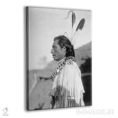 تابلو دکوراتیو C1908,شفابخش مندانی، حدود ۱۹۰۸ اثر ادوارد اس. کرتیس - نمای پرسپکتیو محصول