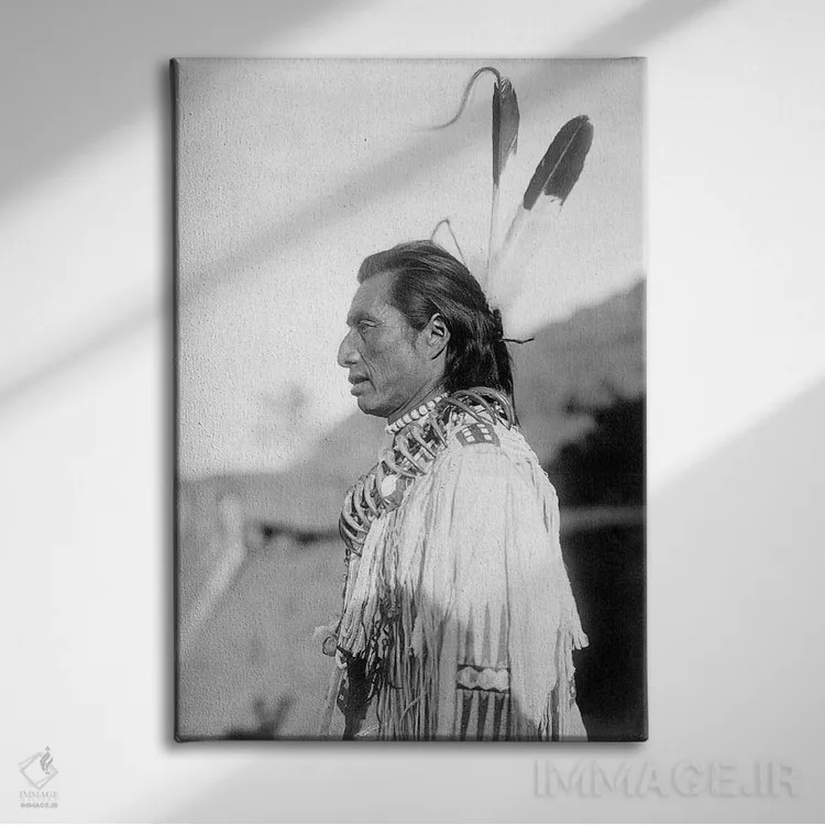 تابلو دکوراتیو C1908,شفابخش مندانی، حدود ۱۹۰۸ اثر ادوارد اس. کرتیس - نمای روبهرو روی دیوار