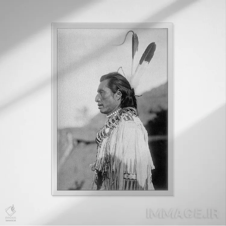 تابلو دکوراتیو C1908,شفابخش مندانی، حدود ۱۹۰۸ اثر ادوارد اس. کرتیس - نمای قابدار سفید