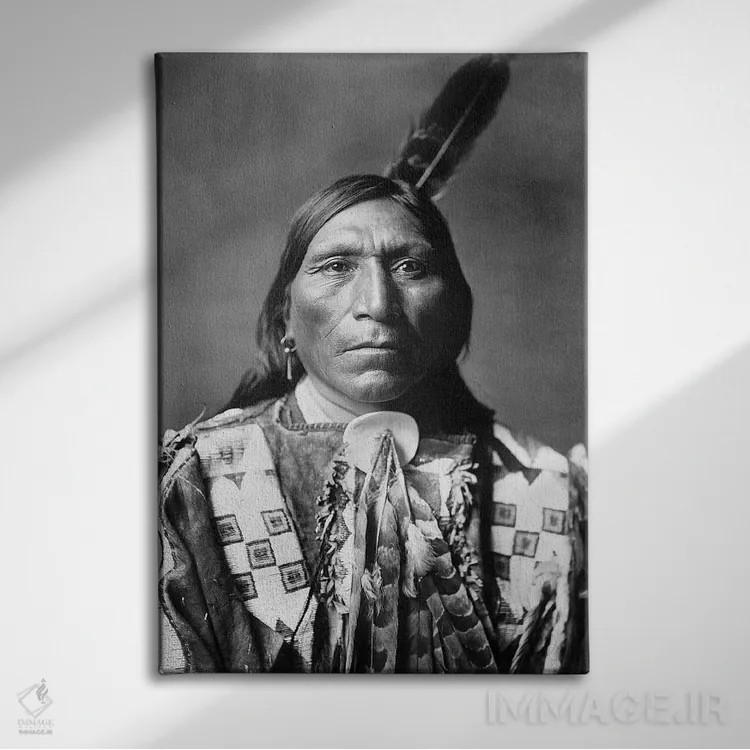 تابلو دکوراتیو C1907,مرد سرخپوست سو ، حدود ۱۹۰۷ اثر ادوارد اس. کرتیس - نمای روبهرو روی دیوار