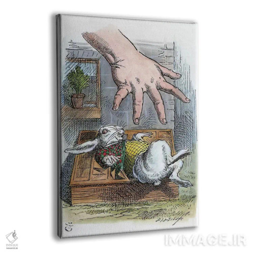 تابلو دکوراتیو 1865,کرول: آلیس، ۱۸۶۵ اثر جان تنیل - نمای پرسپکتیو محصول