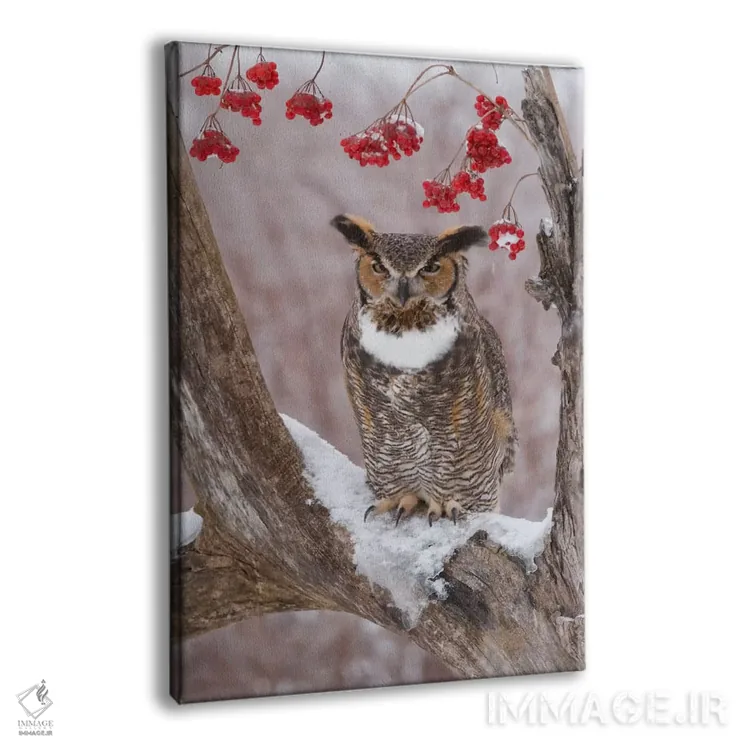 تابلو دکوراتیو Howell Nature Center, Michigan,جغد شاخدار بزرگ در زمستان، مرک… اثر استیو گتل - نمای پرسپکتیو محصول