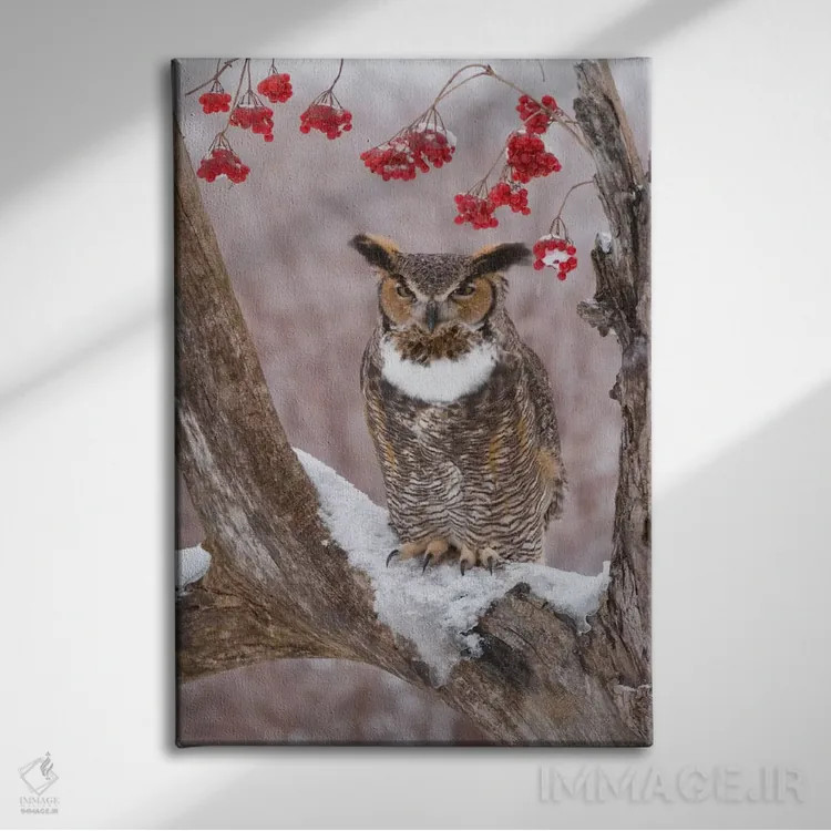 تابلو دکوراتیو Howell Nature Center, Michigan,جغد شاخدار بزرگ در زمستان، مرک… اثر استیو گتل - نمای روبهرو روی دیوار
