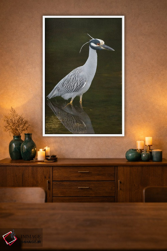 تابلو دکوراتیو J. N. Ding Darling National Wildlife Refuge, Florida,حواصیل ش… اثر استیو گتل - D1W