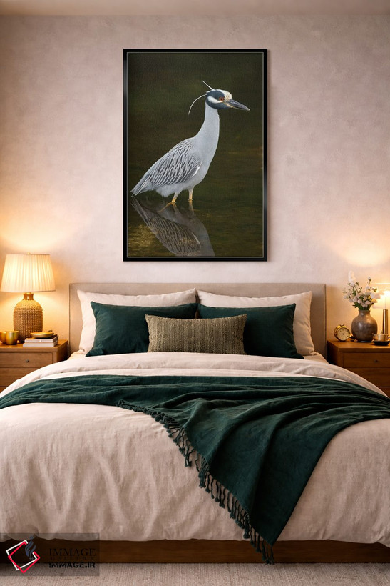 تابلو دکوراتیو J. N. Ding Darling National Wildlife Refuge, Florida,حواصیل ش… اثر استیو گتل - D3B