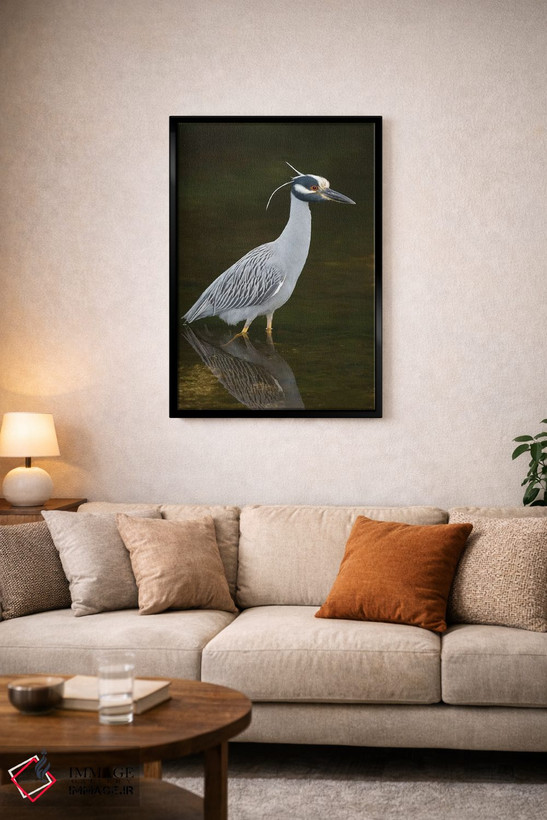 تابلو دکوراتیو J. N. Ding Darling National Wildlife Refuge, Florida,حواصیل ش… اثر استیو گتل - D4B