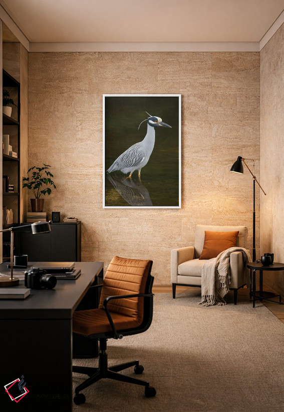 تابلو دکوراتیو J. N. Ding Darling National Wildlife Refuge, Florida,حواصیل ش… اثر استیو گتل - D6W