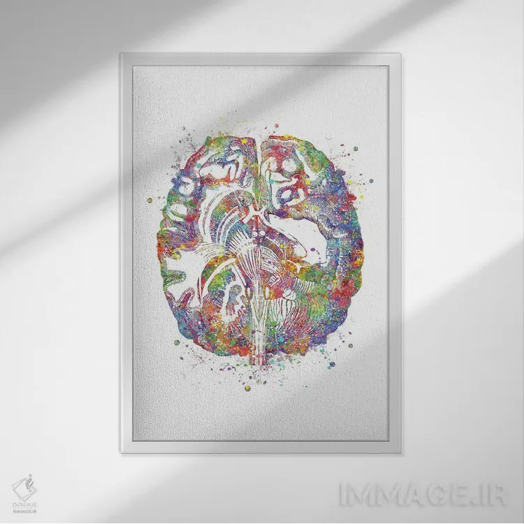 تابلو دکوراتیو برش عرضی مغز اثر جنفی آرت - نمای قابدار سفید