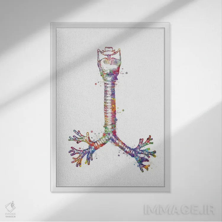 تابلو دکوراتیو نای اثر جنفی آرت - نمای قابدار سفید