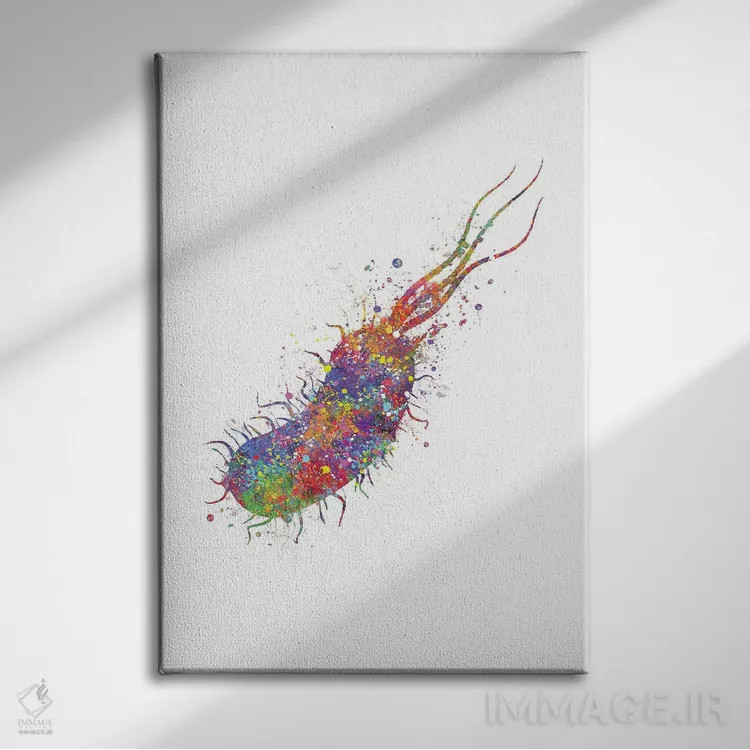 تابلو دکوراتیو باکتری اثر جنفی آرت - نمای روبهرو روی دیوار