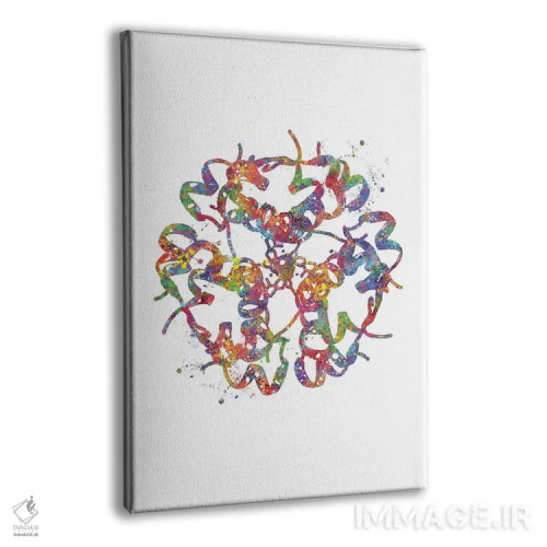 تابلو دکوراتیو ساختار انسولین اثر جنفی آرت - نمای پرسپکتیو محصول