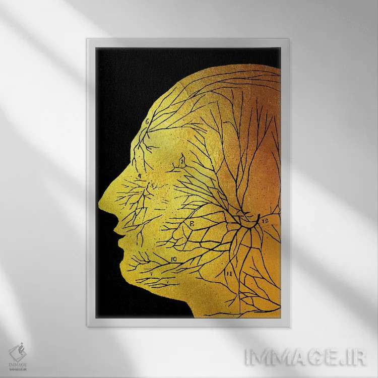 تابلو دکوراتیو عصب در سر اثر گب فرناندو - نمای قابدار سفید