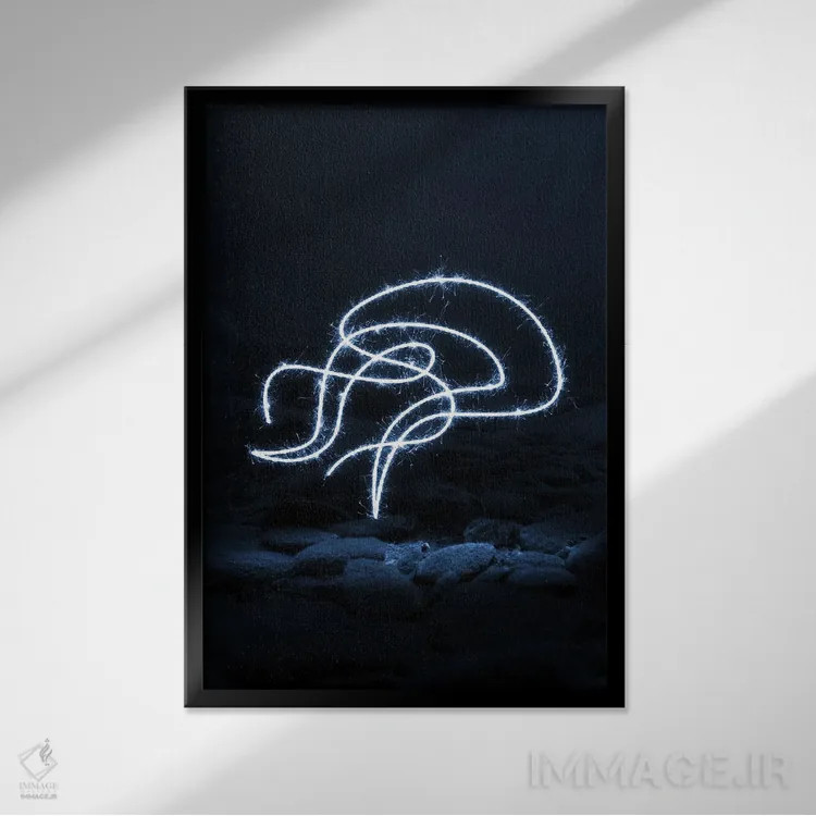 تابلو مینیمال عروس دریایی جعبه ای اثر گب فرناندو - نمای قابدار مشکی