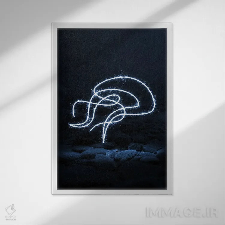 تابلو مینیمال عروس دریایی جعبه ای اثر گب فرناندو - نمای قابدار سفید