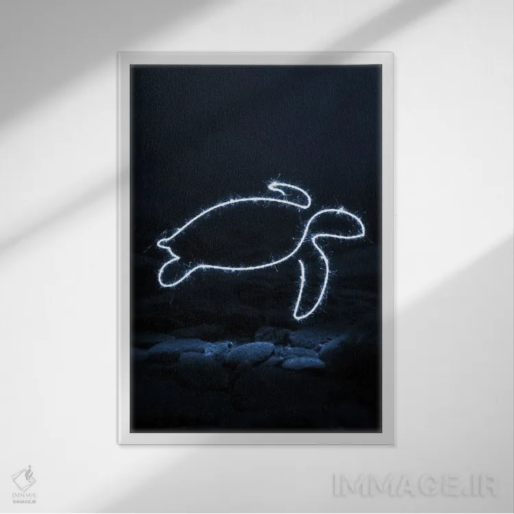 تابلو مینیمال لاک پشت اثر گب فرناندو - نمای قابدار سفید
