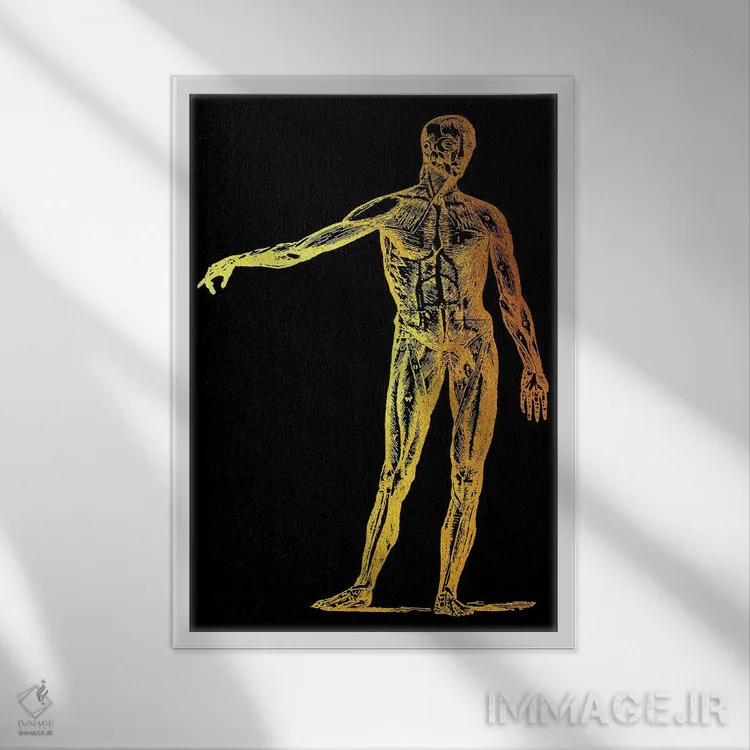 تابلو دکوراتیو عضله اثر گب فرناندو - نمای قابدار سفید