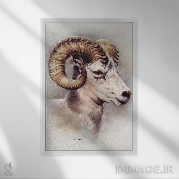 تابلو دکوراتیو پرتره گوسفند دال اثر جوردانو استودیو - نمای قابدار سفید