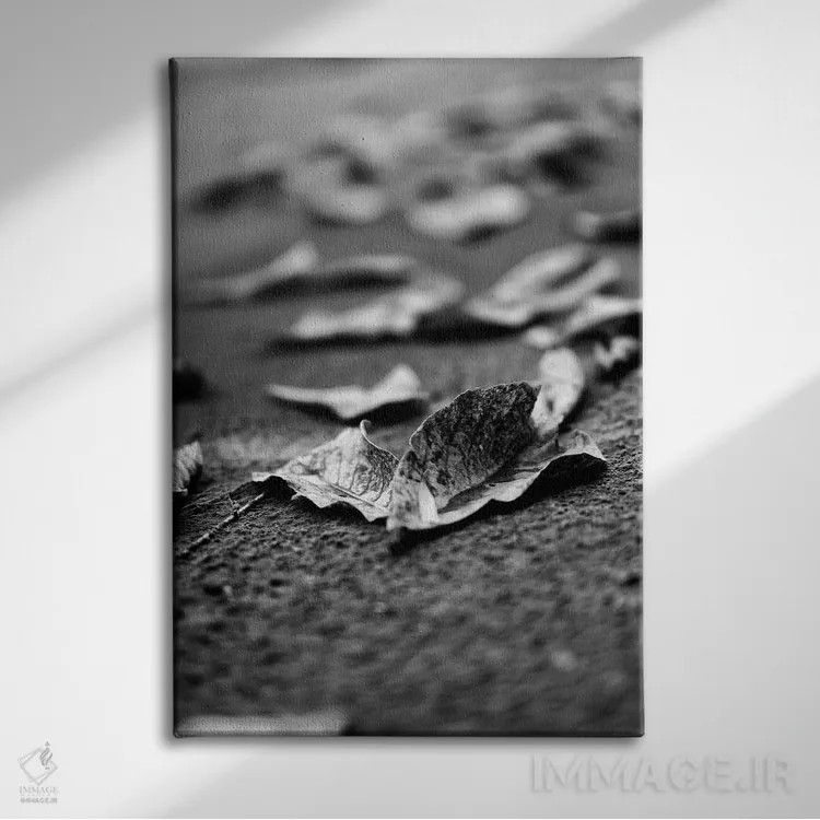 تابلو دکوراتیو کشتی شگفت انگیز اثر گلاوکو منهالی - نمای روبهرو روی دیوار