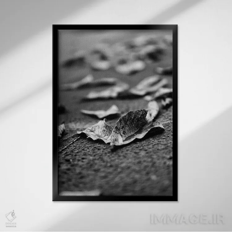 تابلو دکوراتیو کشتی شگفت انگیز اثر گلاوکو منهالی - نمای قابدار مشکی