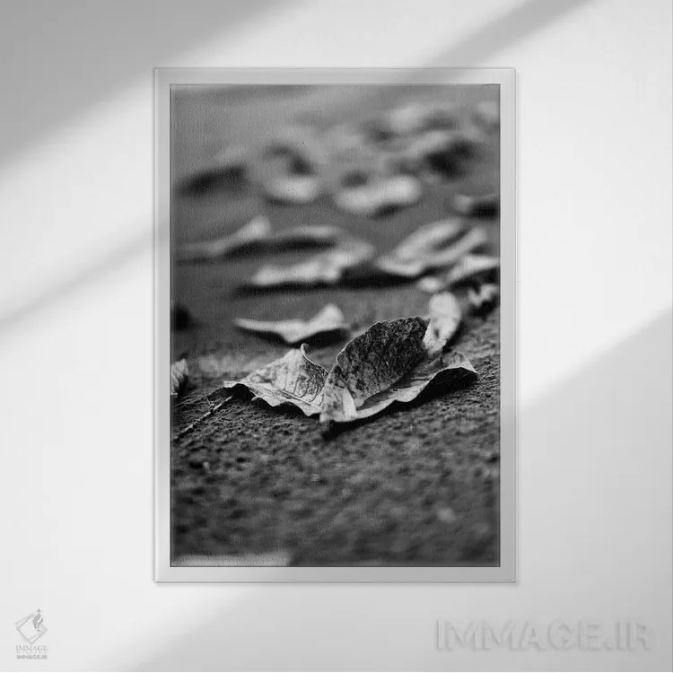 تابلو دکوراتیو کشتی شگفت انگیز اثر گلاوکو منهالی - نمای قابدار سفید