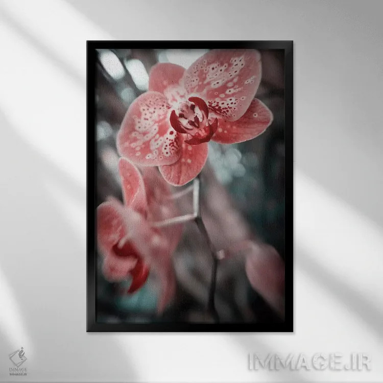 تابلو دکوراتیو گل شماره ۴۵ اثر گلاوکو منهالی - نمای قابدار مشکی