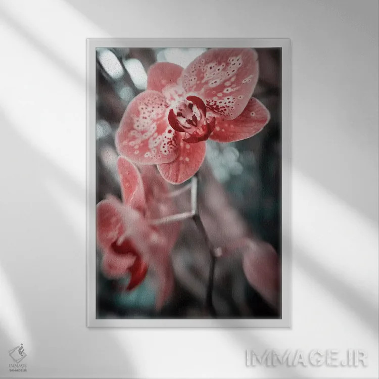 تابلو دکوراتیو گل شماره ۴۵ اثر گلاوکو منهالی - نمای قابدار سفید