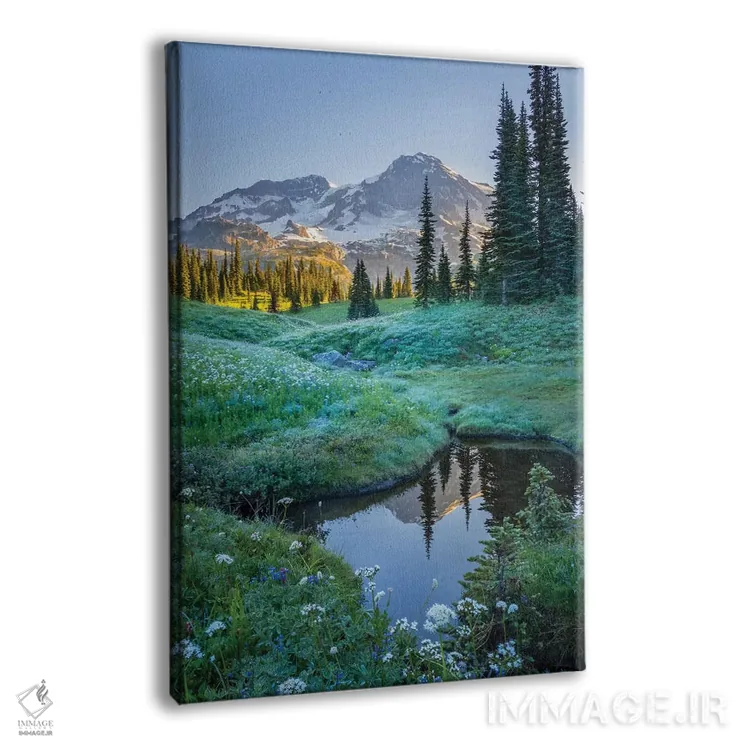 تابلو دکوراتیو Mt. Rainier National Park I,انعکاس کوه رینیر در برکه میان گل ه… اثر گری لوهم - نمای پرسپکتیو محصول