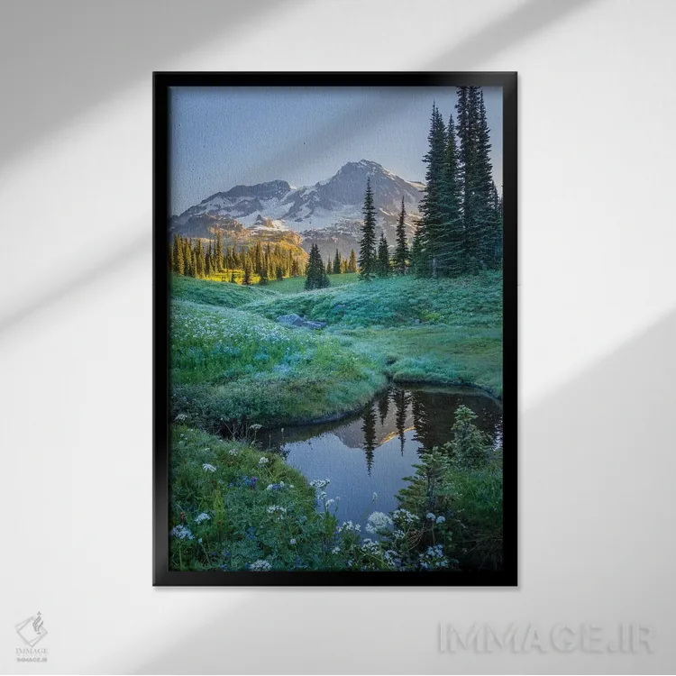 تابلو دکوراتیو Mt. Rainier National Park I,انعکاس کوه رینیر در برکه میان گل ه… اثر گری لوهم - نمای قابدار مشکی
